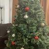 chriscara340